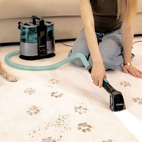 Миючий пилосос Cecotec Conga 6000 Carpet&Spot Clean XL (A01_EU01_122354) A01_EU01_122354 фото