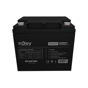 Акумуляторна батарея Njoy GE4012FF 12V 40AH (BTVGCDTOMTCFFCN01B) GEL GE4012FF фото