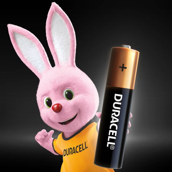 Батарейка Duracell LR03 MN2400 1x4 шт. 5014461/5005967/5014442 5014461/5005967/5014442 фото