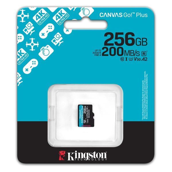 Карта пам`яті MicroSDXC 256GB UHS-I/U3 Class 10 Kingston Canvas Go! Plus R200/W160MB/s (SDCG4/256GBSP) SDCG4/256GBSP фото